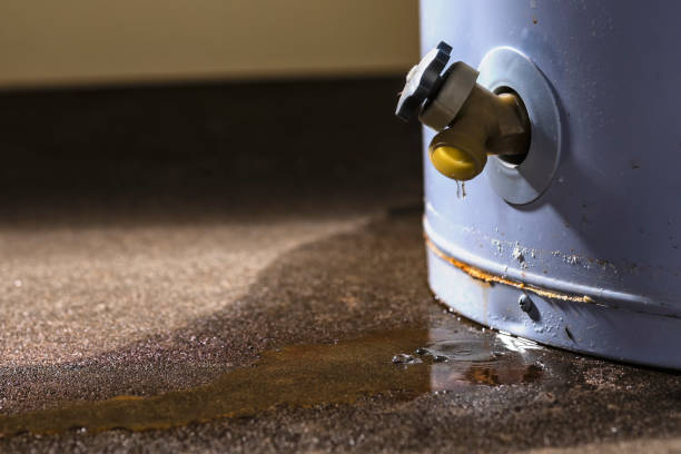 Best Water damage restoration near me  in Incline Village, NV