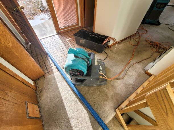 Best Water damage cleanup near me  in Incline Village, NV