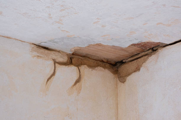 Best Local water damage restoration  in Incline Village, NV