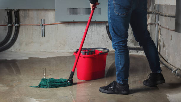 Best Carpet water damage restoration  in Incline Village, NV