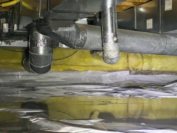 Carpet water damage restoration in NV