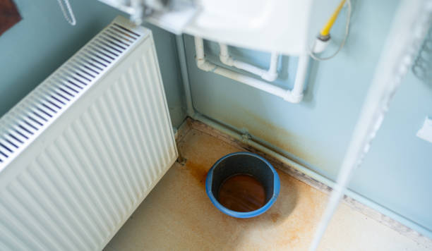 Best Basement water damage restoration  in Incline Village, NV
