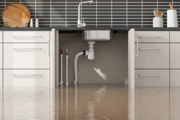 Best 24-hour water damage restoration  in Incline Village, NV