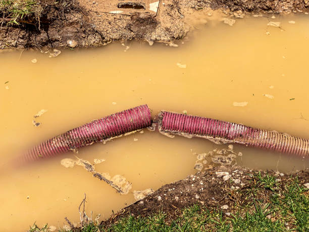 Best Water damage contractors near me  in Incline Village, NV